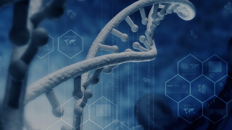 中药配方提升免疫力：揭秘古法与现代科学的完美结合